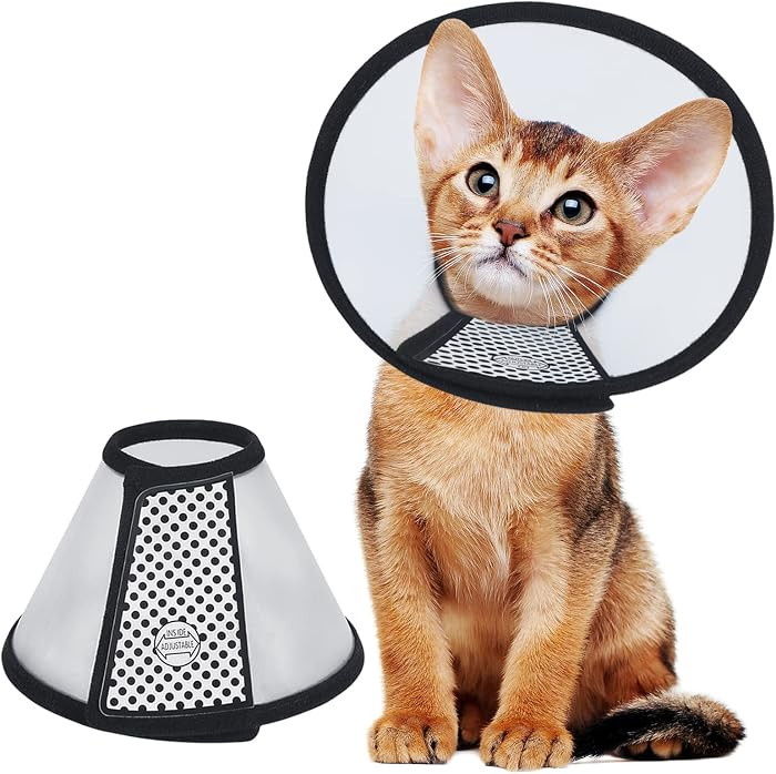 Vivifying Cat Cone Collar– 3 Sizes Lightweight Soft Edge Recovery Cone for Cats, Adjustable Pla... | Amazon (US)