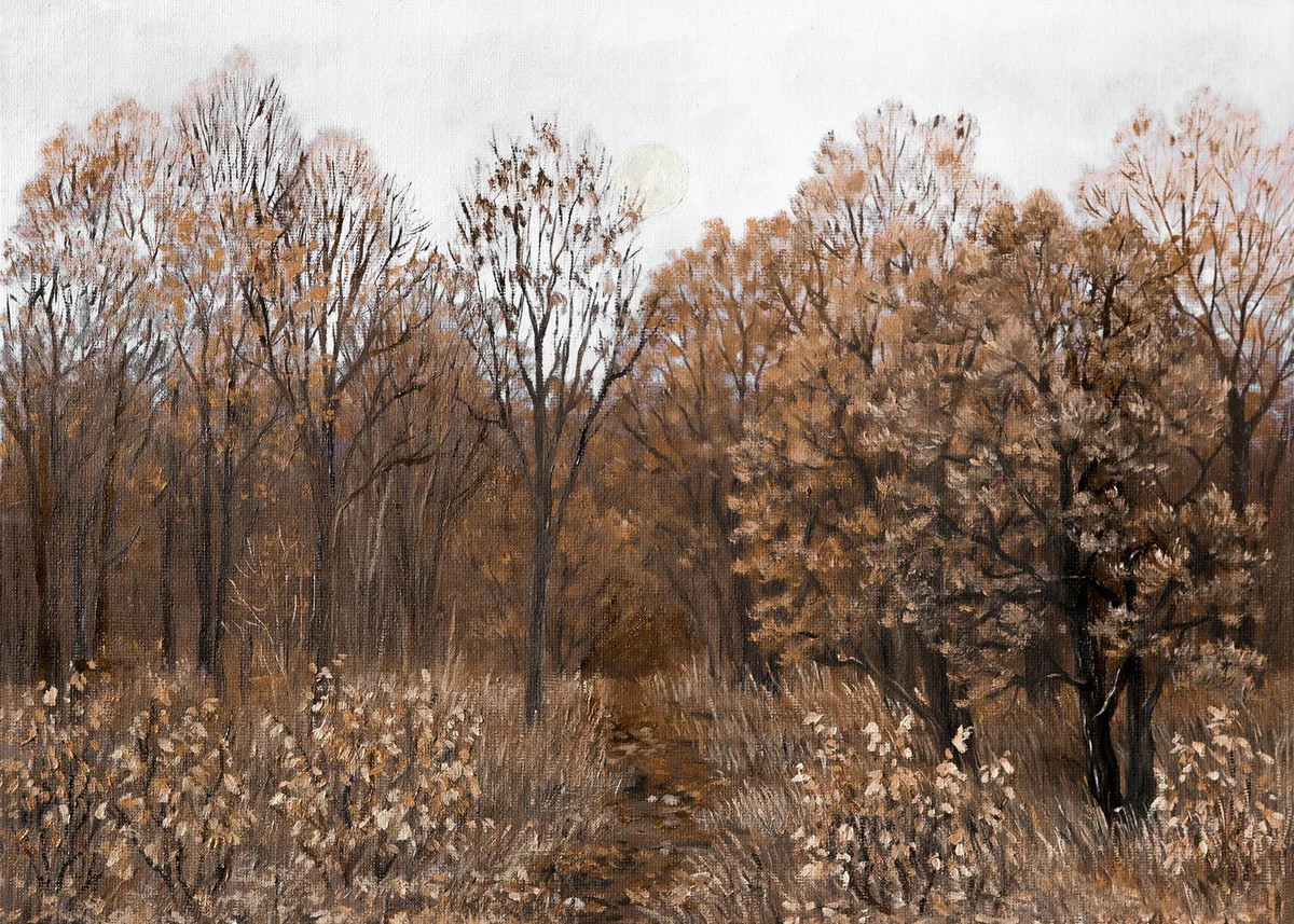 Footpath | Collection Prints