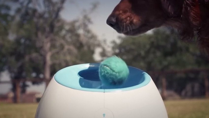 GIFT IDEAS FOR DOGS 🧡

I’m getting one of these for my dog Skye and thought I’d share the amazing idea as your dog will love it 🥰 👌

#LTKhome #LTKgiftguide #LTKaustralia