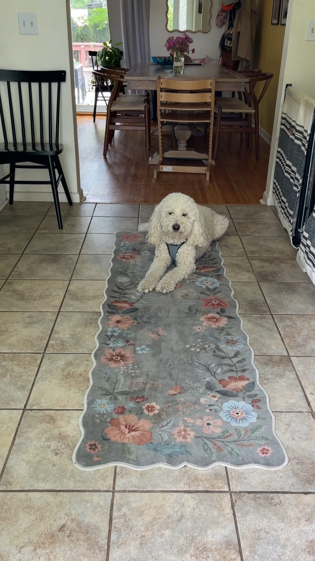 New entry way rug is so cute! The scallop edge & garden pattern is so fun. It’s so soft and machine washable. Perfect for hallways, entry ways, kitchens, or mud rooms 



#LTKStyleTip #LTKHome #LTKFindsUnder100