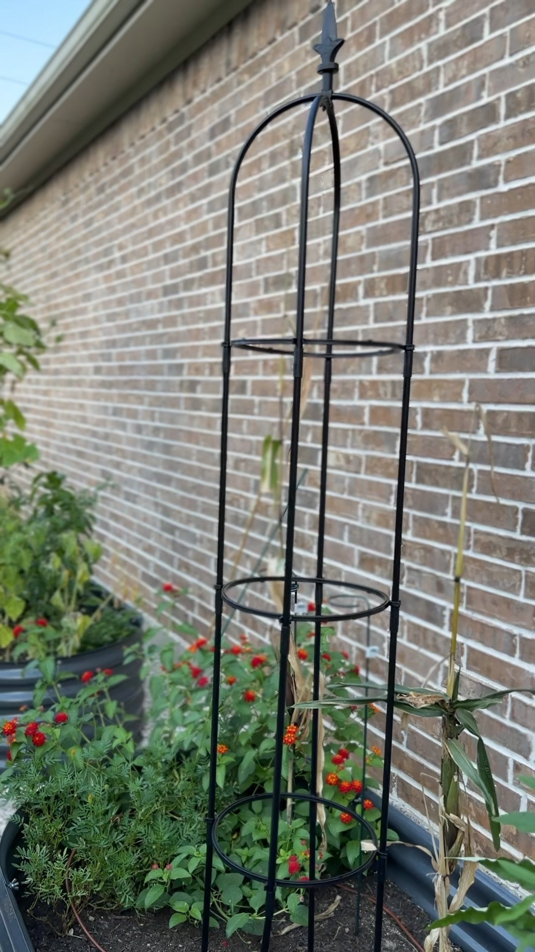 Garden obelisk 

#LTKSeasonal #LTKhome