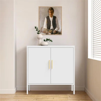 Metal Single Storage Cabinet ( 32'' H x 31'' W x 16'' D) | Wayfair North America