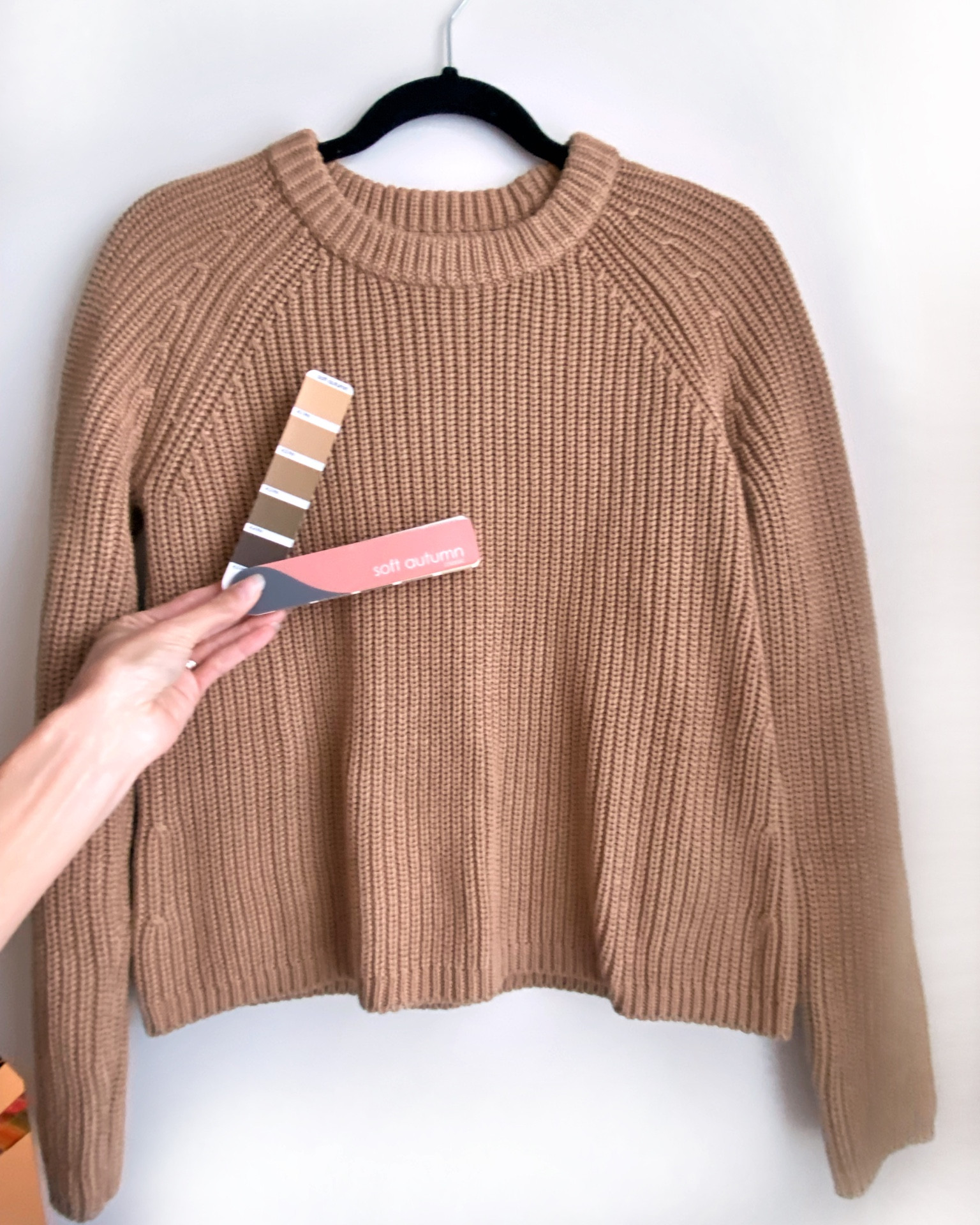 100% cotton gorgeous high-quality sweater in fall color. For my fellow TCI #softautumn friends, it is a good match for 4.2FN on the color fan.

#LTKfindsunder50 #LTKstyletip #LTKSeasonal