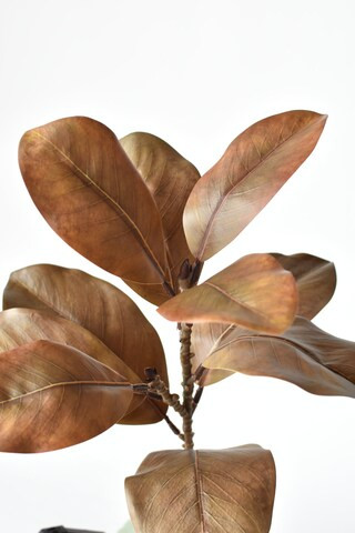 21" Faux Magnolia Leaf Stem : Brown | Michaels | Michaels Stores