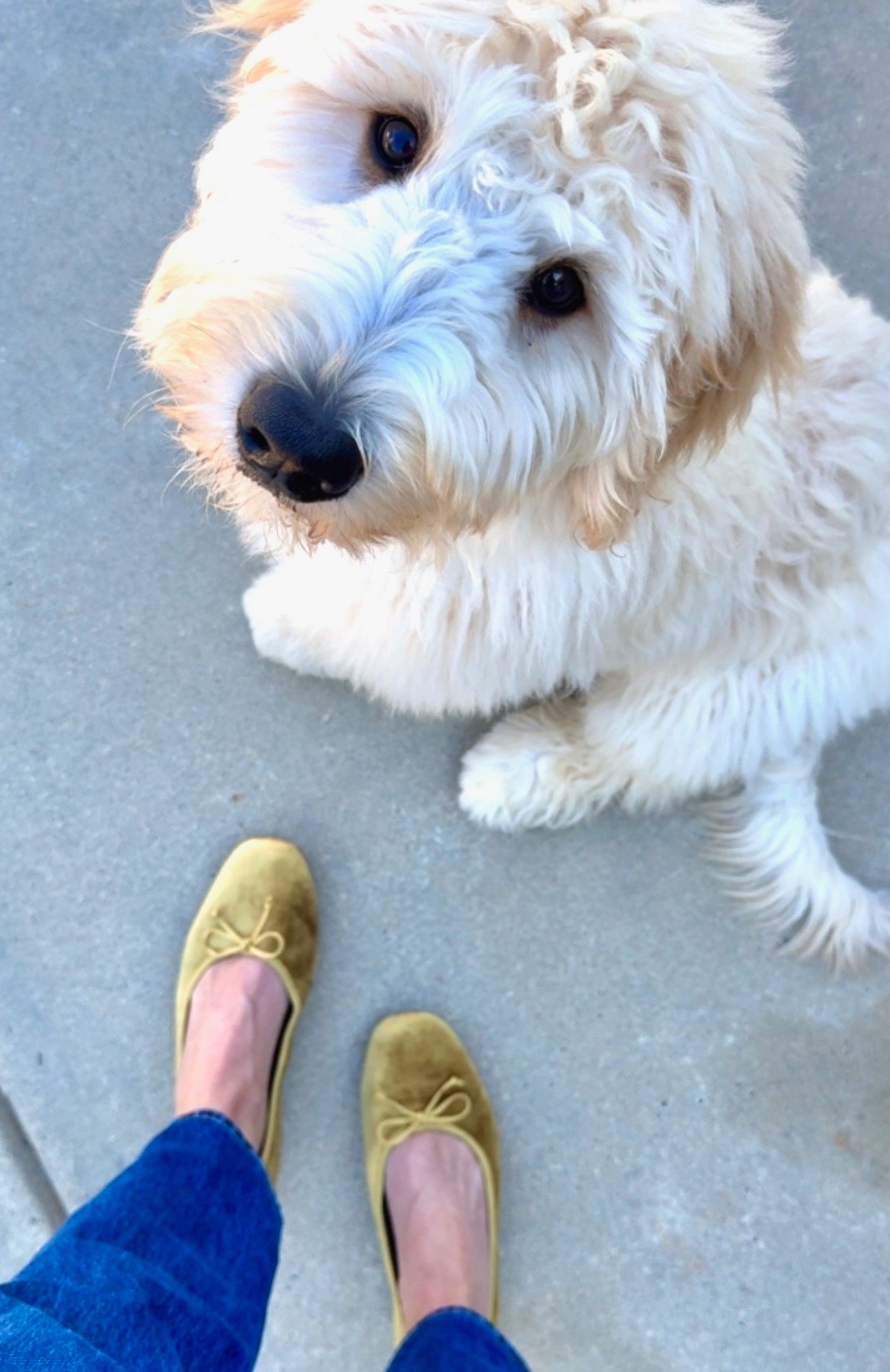 My favorite pop of color for fall…I could walk miles in these 🤍