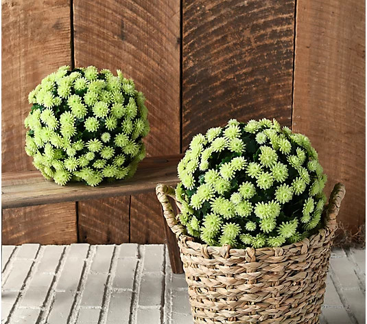 Wicker Park Set of (2) 10" Faux Mum Indoor/Outdoor Garden Spheres - QVC.com | QVC