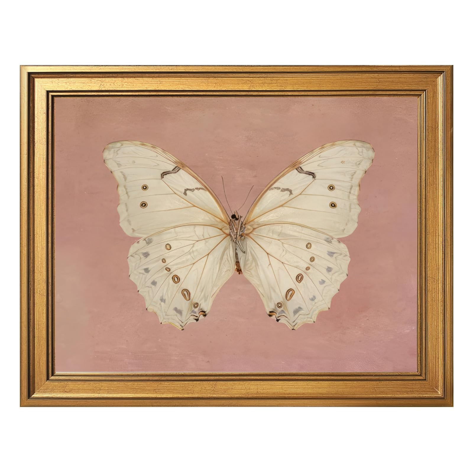 Gold Frame Wall Art Vintage White Butterfly Canvas Print Pink Antique Style Poster Insect Illustr... | Amazon (US)