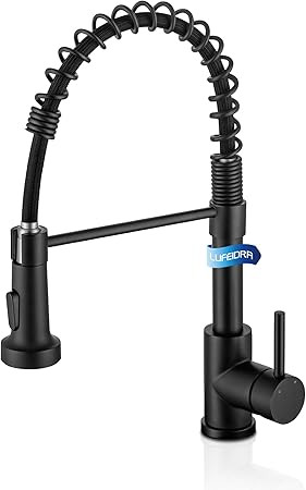 LUFEIDRA Black Kitchen Faucets with Pull Down Sprayer - High Arc Spring 304 Stainless Steel Singl... | Amazon (US)