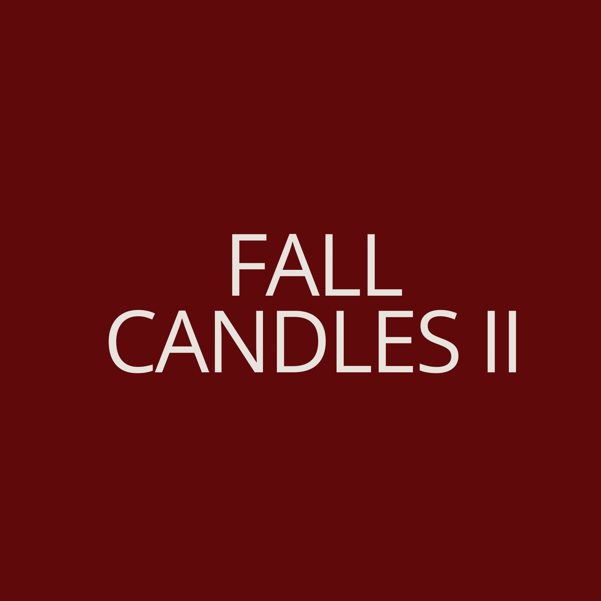 Fall candles part 2

#LTKSeasonal #LTKHome #LTKselfcare