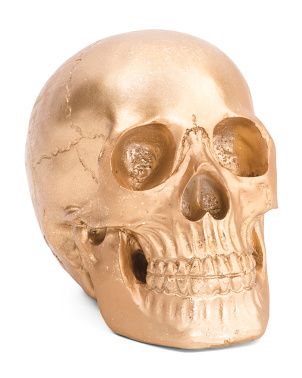 6in Skull Decor | Halloween | Marshalls | Marshalls