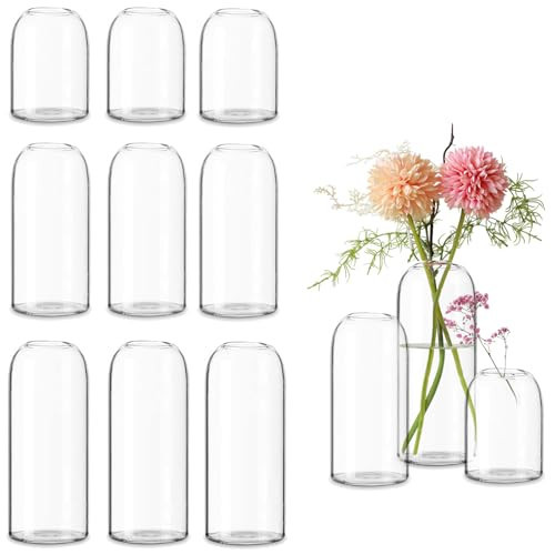 Etolies Glass Bud Vases in Bulk Set of 12, Clear Small Vases for Flowers,Modern Cylinder Glass Vase for Wedding Party Dining Table Centerpieces, Living Room Decorative, Home Decor. | Amazon (US)
