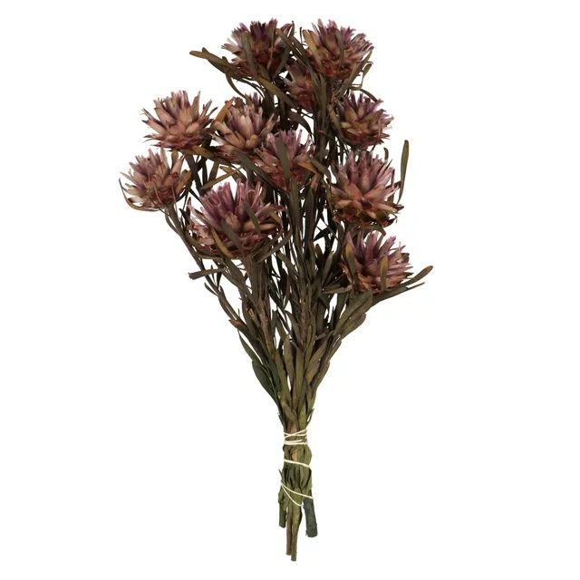 Vickerman 8-20" Purple Orchid Plumosum, Female, 8 flower heads per bundle, Preserved | Walmart (US)
