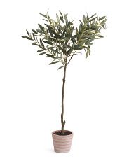 48in Outdoor Olive Tree | TJ Maxx