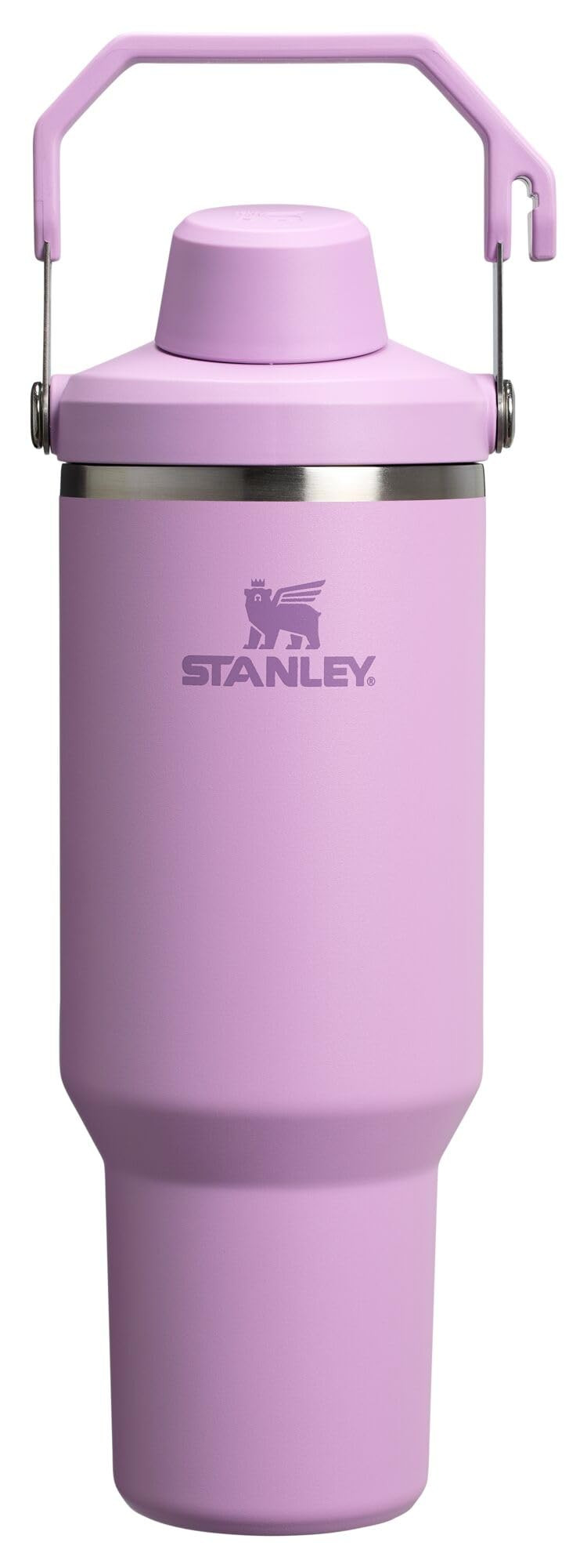 Stanley IceFlow 2.0 Fast Flow Tumbler with Handle 40 oz | Twist On Angled Spout Lid | Leakproof W... | Amazon (US)