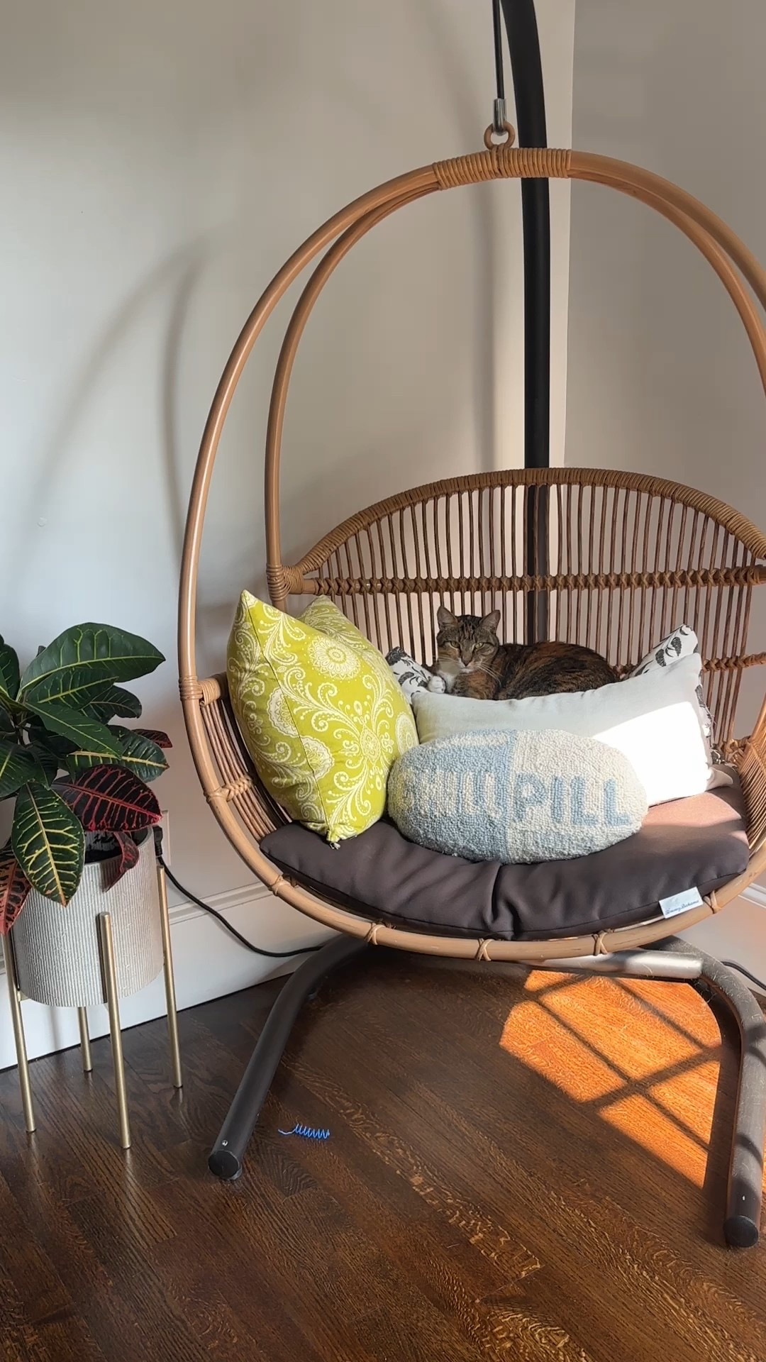 My favorite reading spot. 🤓

#LTKHome #LTKSeasonal #LTKSaleAlert