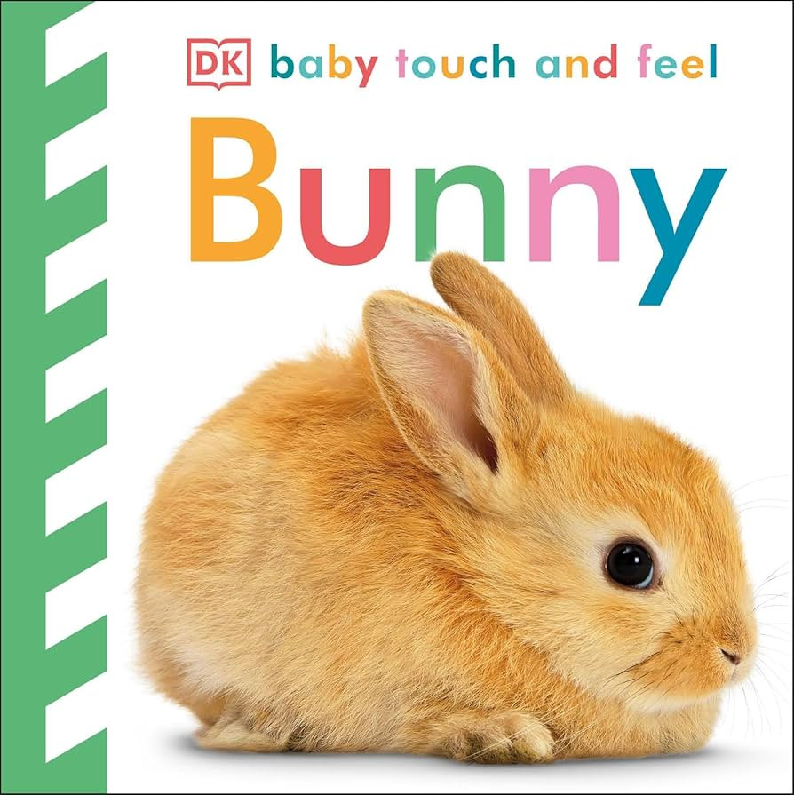 Baby Touch and Feel: Bunny | Amazon (US)