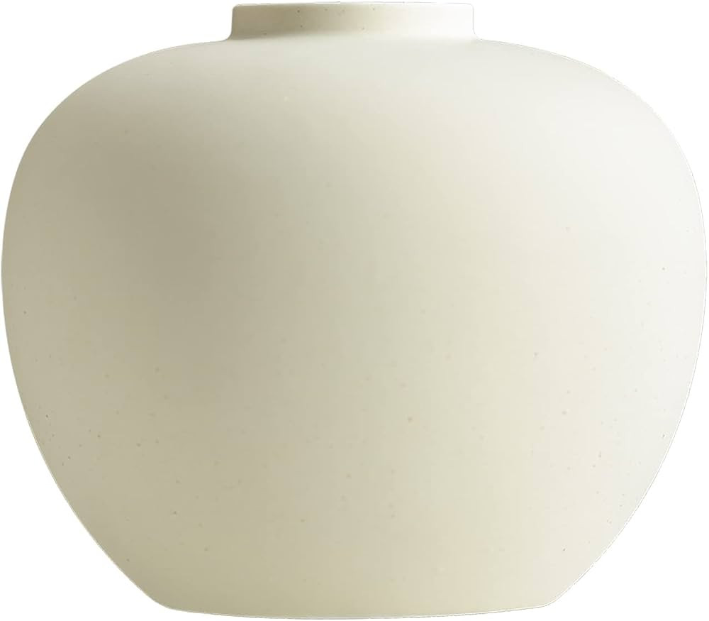 Full Moon Designed Vase, Shaping Flower Art and Displaying Hydroponic Plants, 6.5" × 7.2" (Matte... | Amazon (US)