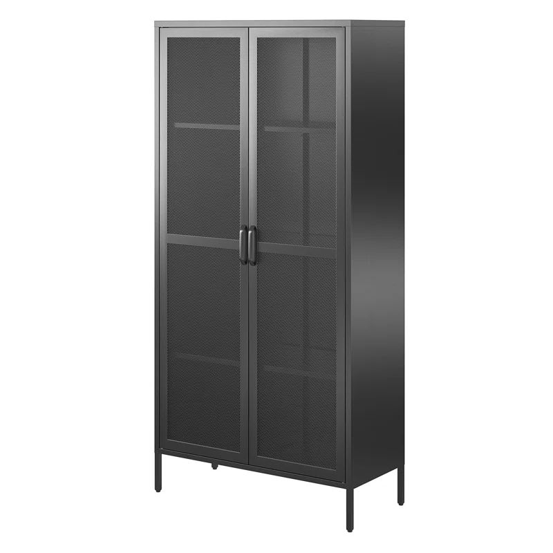 Aprel 72.83'' Tall Steel 2 - Door Accent Cabinet | Wayfair North America