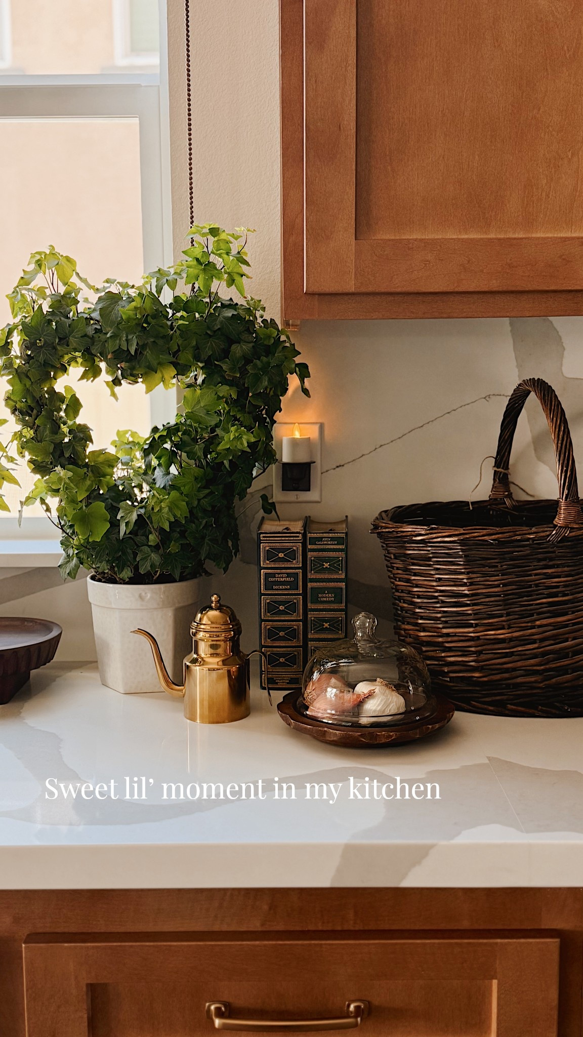 Spring kitchen setup with some vintage books, a vintage basket and one of my favorite happy plants ✨

Spring kitchen decor, vintage inspired, cozy corner 

#LTKdayinmylife #LTKHome #LTKSeasonal
