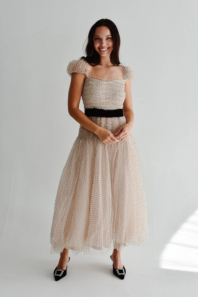 Juliette Polka Dot Mesh Maxi Dress | Confête