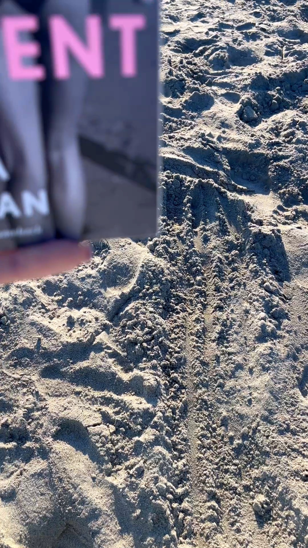 This is such a great read!!! 🤓📖

Definitely grab this for your next binge!

Book club, babes in the covers, book recommendation, book lover

#LTKU #LTKWatchNow #LTKTravel