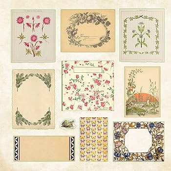 Cottagecore Sticker Book (over 650 stickers!) | Amazon (US)