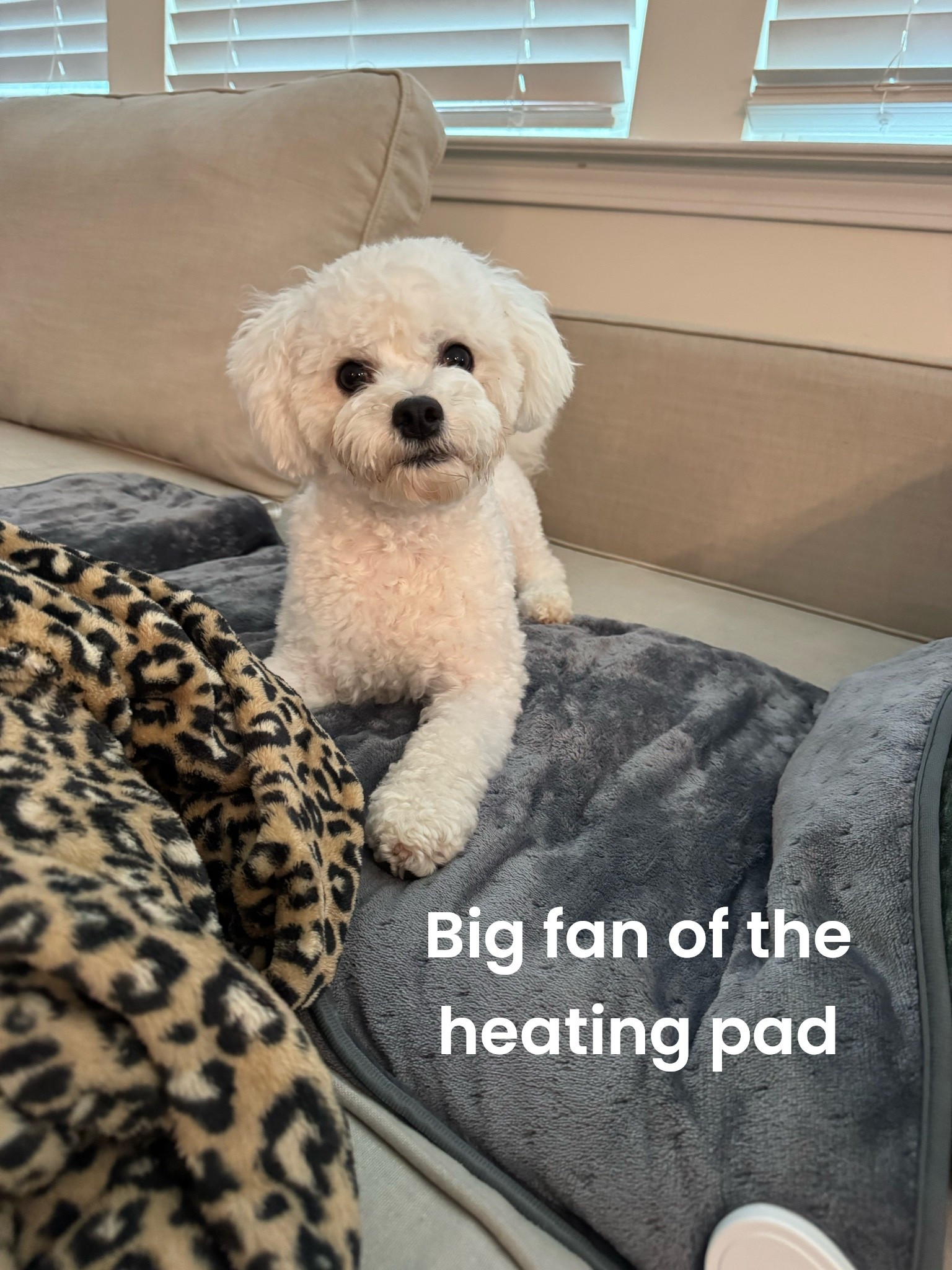 I just got this new heating pad and it’s FANTASTIC and actually produces high heat! I have the 20x40

Heating pad, Amazon

#LTKmomlife #LTKgrwm #LTKdayinmylife