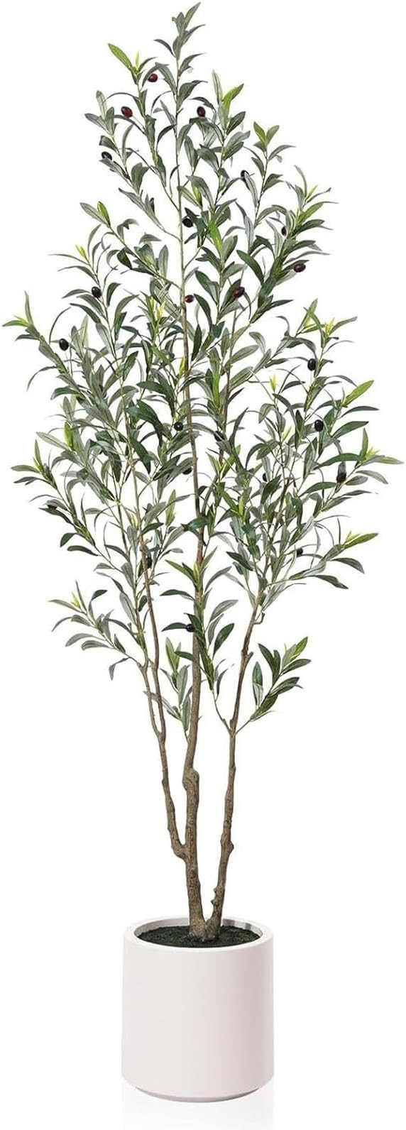 Artificial Faux Olive Tree Indoor with Leaves & Multi-Stage Olives in Decorative White Planter, R... | Amazon (US)
