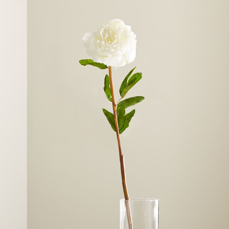 Artificial White Peony Flower Stem + Reviews | Crate & Barrel | Crate & Barrel