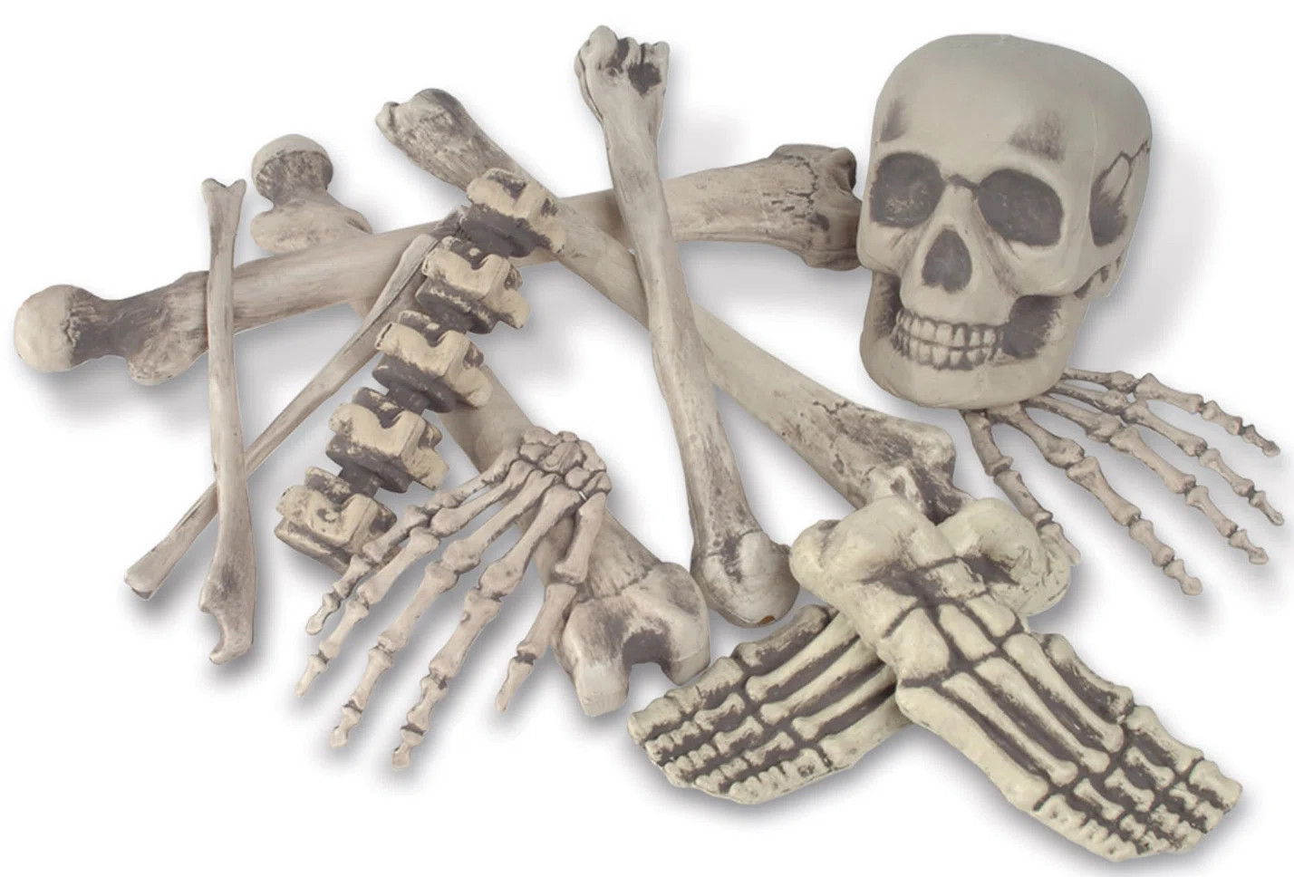 Bag 'O Bones Set (Set of 2) | Wayfair North America