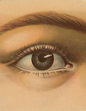 John Derian Picture Book (John Derian Paper Goods)      Hardcover – Illustrated, October 4, 201... | Amazon (US)