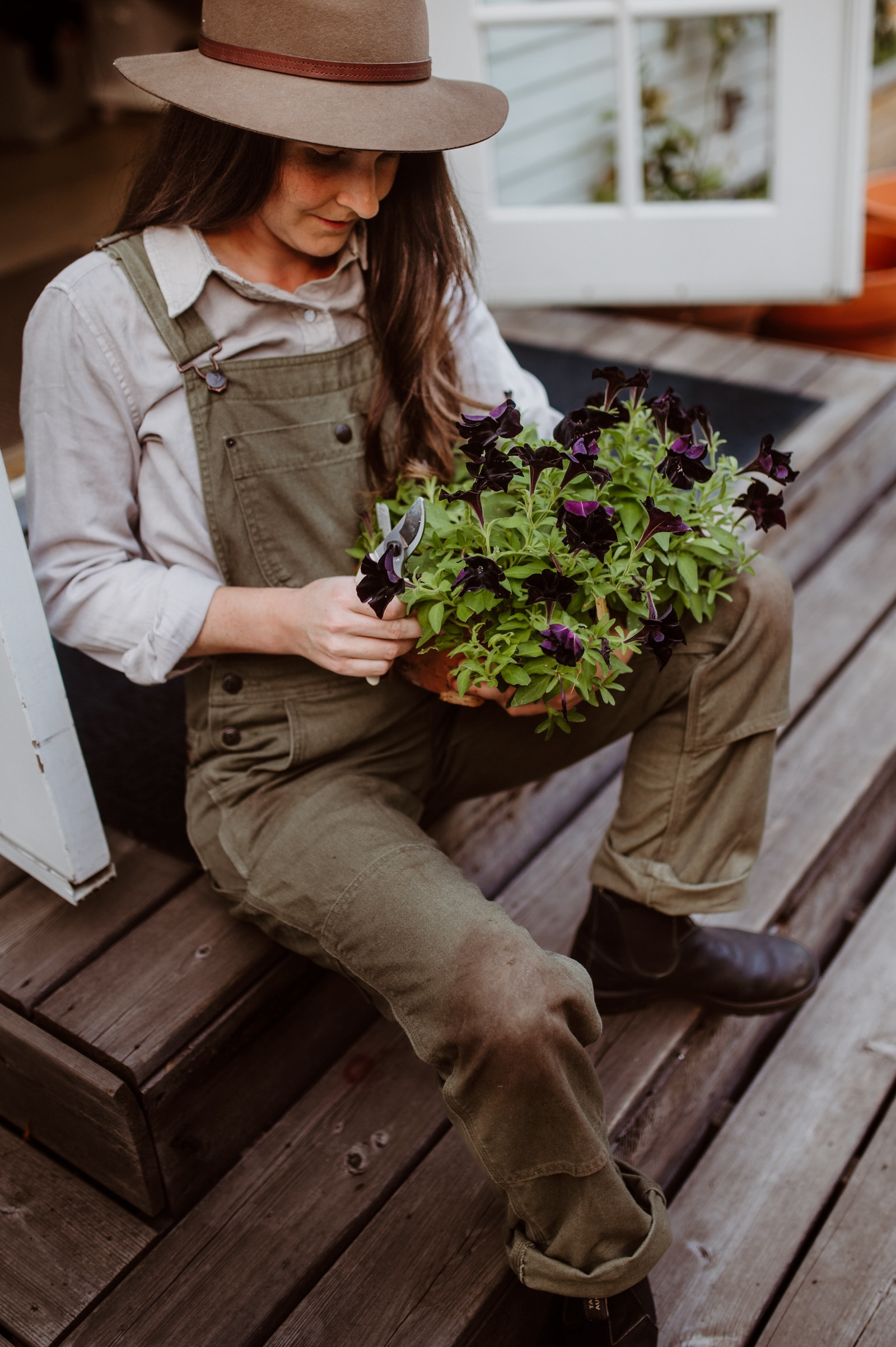 Black petunias and green Patagonia overalls... wintery garden vibes #Plants #Houseplants #Garden 

 