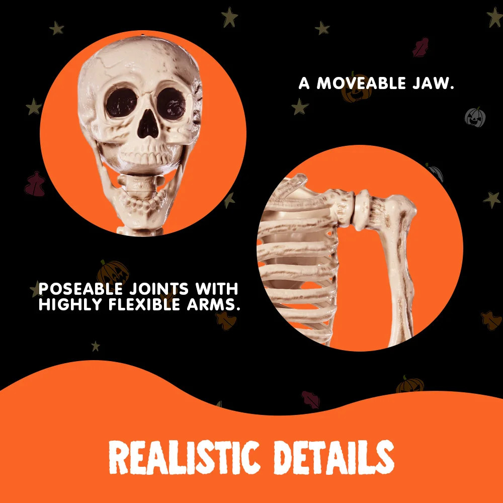 5.6 FT Halloween Posable Life Size Skeleton Full Body Realistic Bones with Movable Joints for Hal... | Wayfair North America