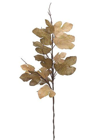 Arcadia Silk Plantation 47" Fig Leaf Spray Olive Green Tan (Pack of 6) | Amazon (US)