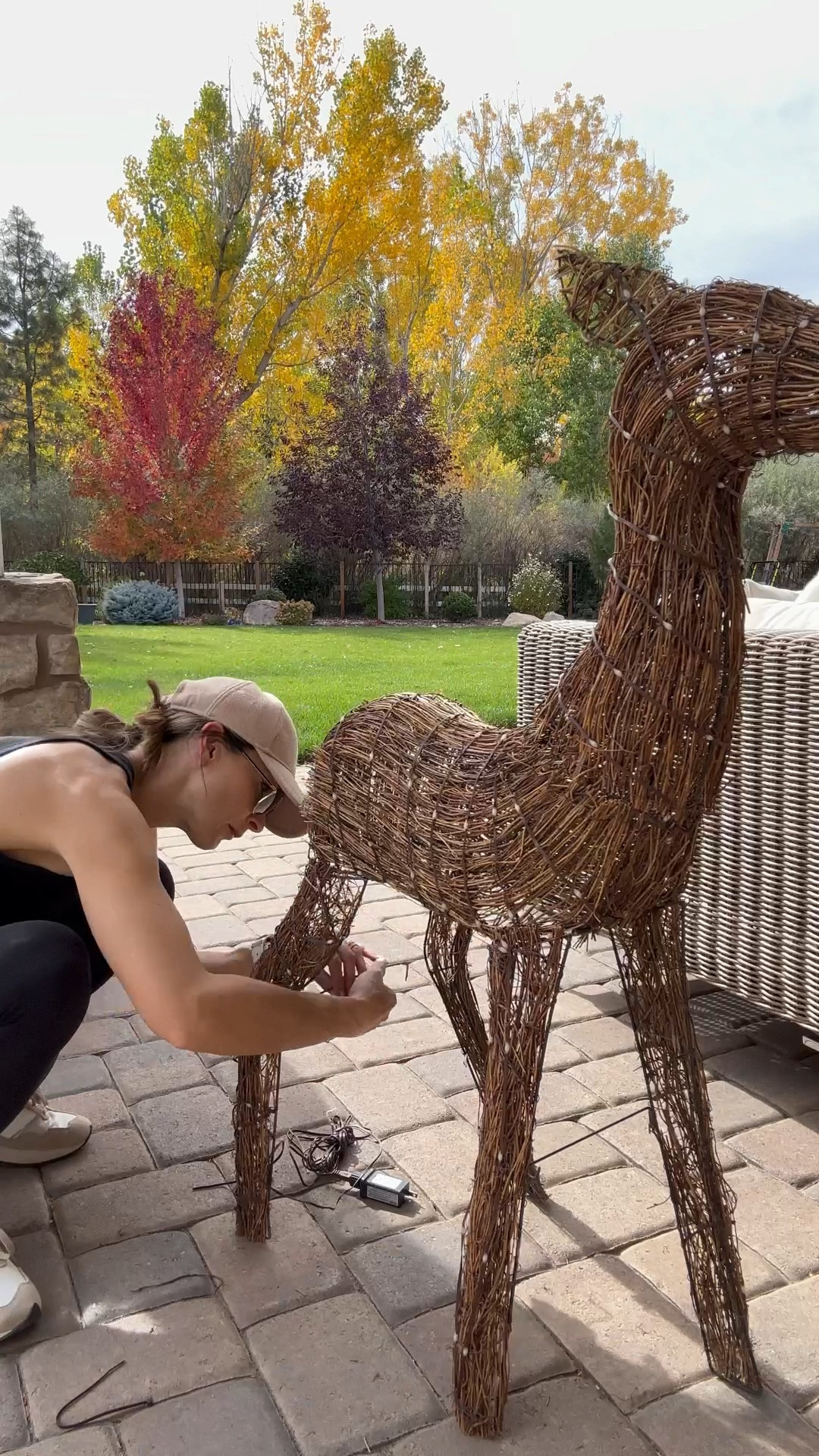 These lit rattan deer are so darn cute!  They add texture, charm and sparkle to your holiday home.  Use indoor or outdoors for the perfect twinkling holiday touch!


#LTKSeasonal #LTKVideo #LTKHome