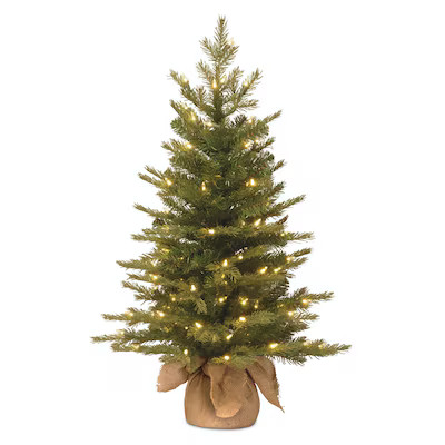 National Tree Company 3-ft Nordic Fir Pre-lit Slim Artificial Christmas Tree with White Incandesc... | Lowe's