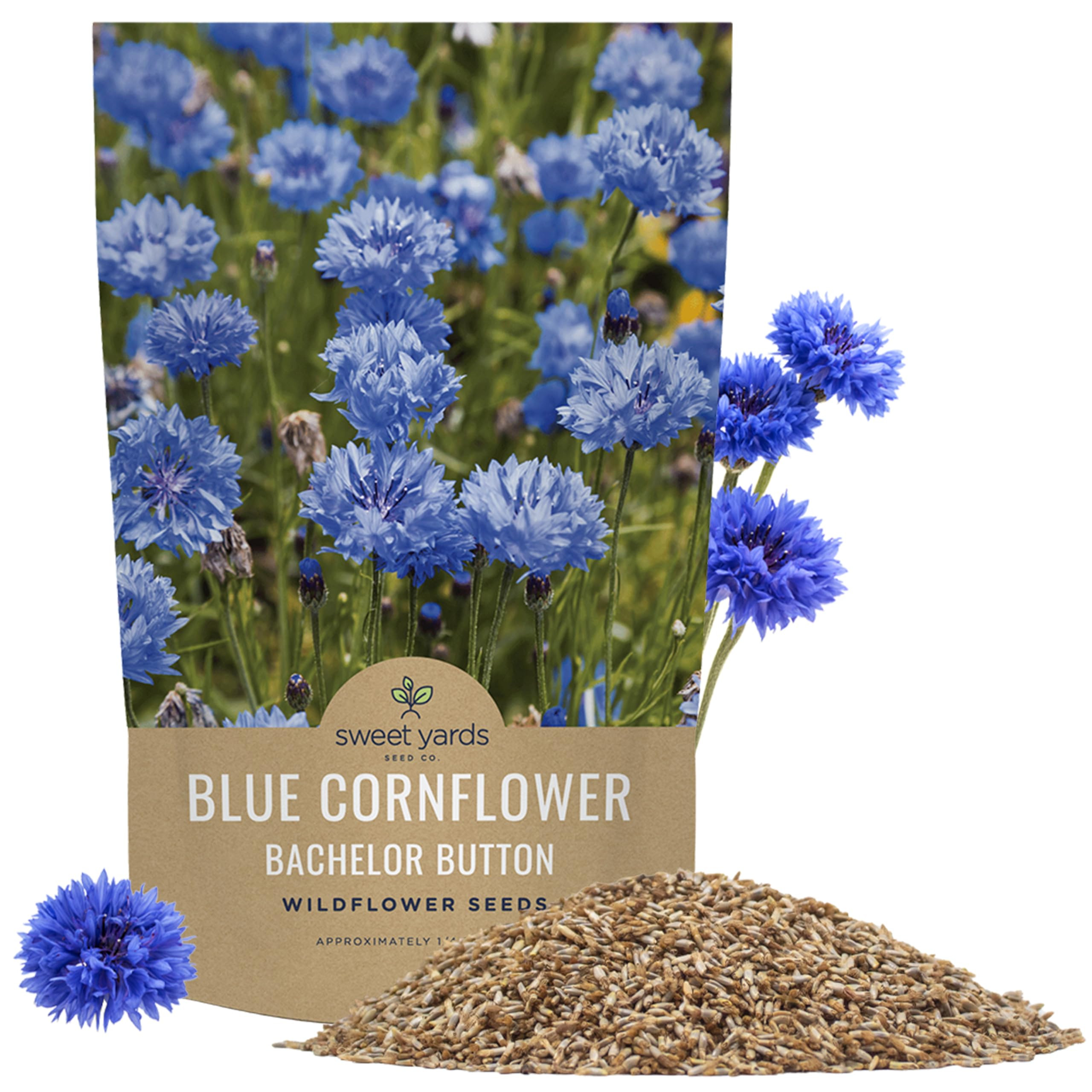 Blue Cornflower Seeds – Bachelor Buttons – Bulk Quarter Pound Bag – Over 20,000 Open Pollin... | Amazon (US)