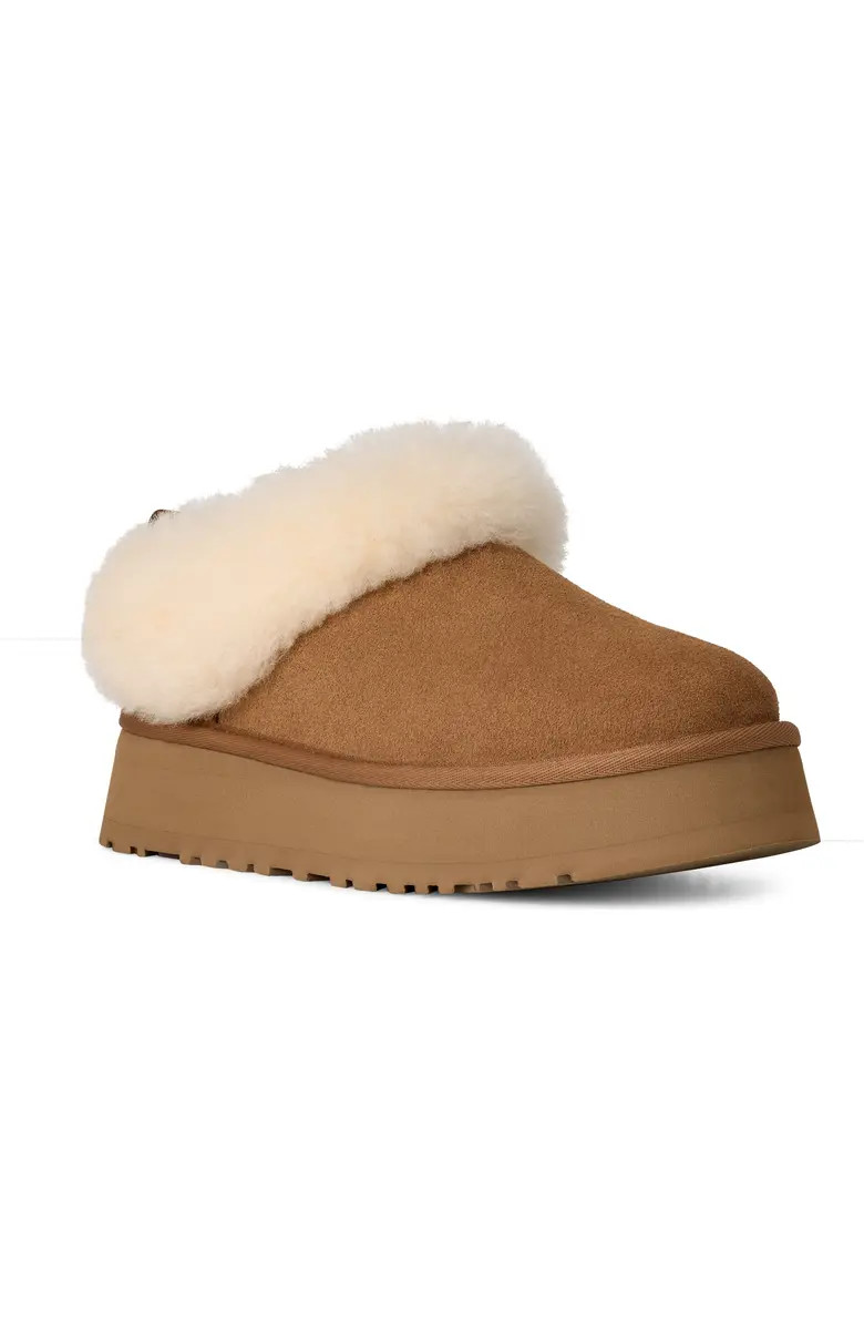 Tazzelle Genuine Shearling Collar Slipper (Women) | Nordstrom