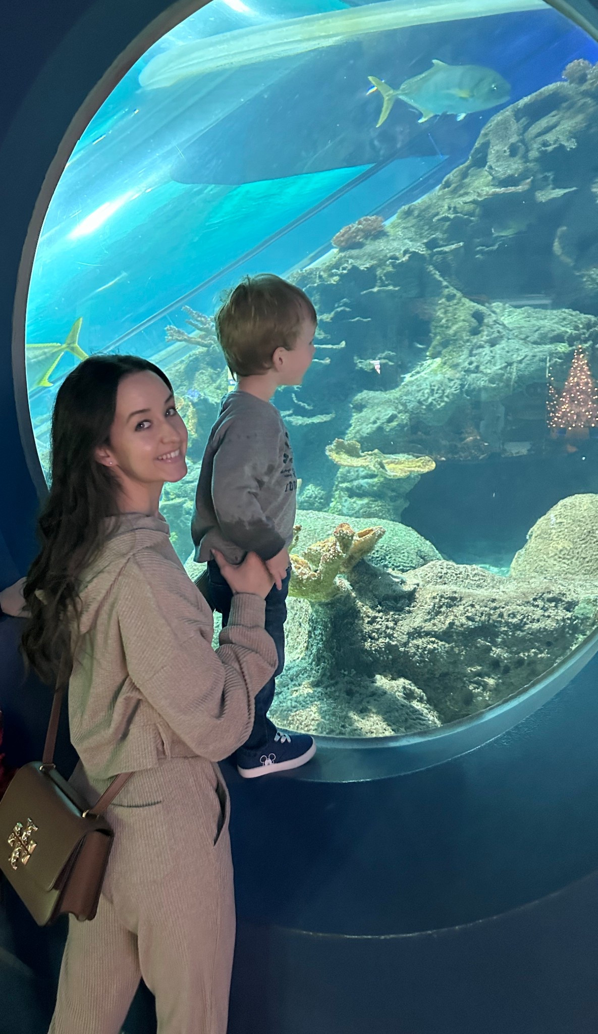 Today’s OOTD 

Another day another muse set lol 

#LTKFindsUnder100 #LTKActive #LTKSeasonal