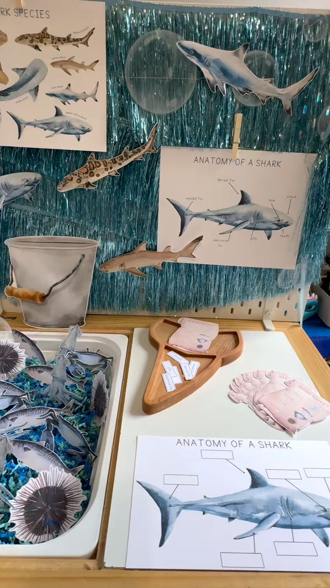 The perfect slow morning activity. 

Combines two things each of my kids love, sharks and recipes. Add the sharks favorite ingredients to the shark bucket for a tasty snack. 🐟🦈 

Shark tooth tray by @barn.owl.kids 
Printables by @themamamindful 

#slowmorningvibes #quietmorningactivity #sharkweek #sharksarebeautiful #sharksquad #sharklife #sharkactivity #sharkgame #learningthroughplay #sharkanatomy

#LTKKids #LTKSeasonal #LTKFamily