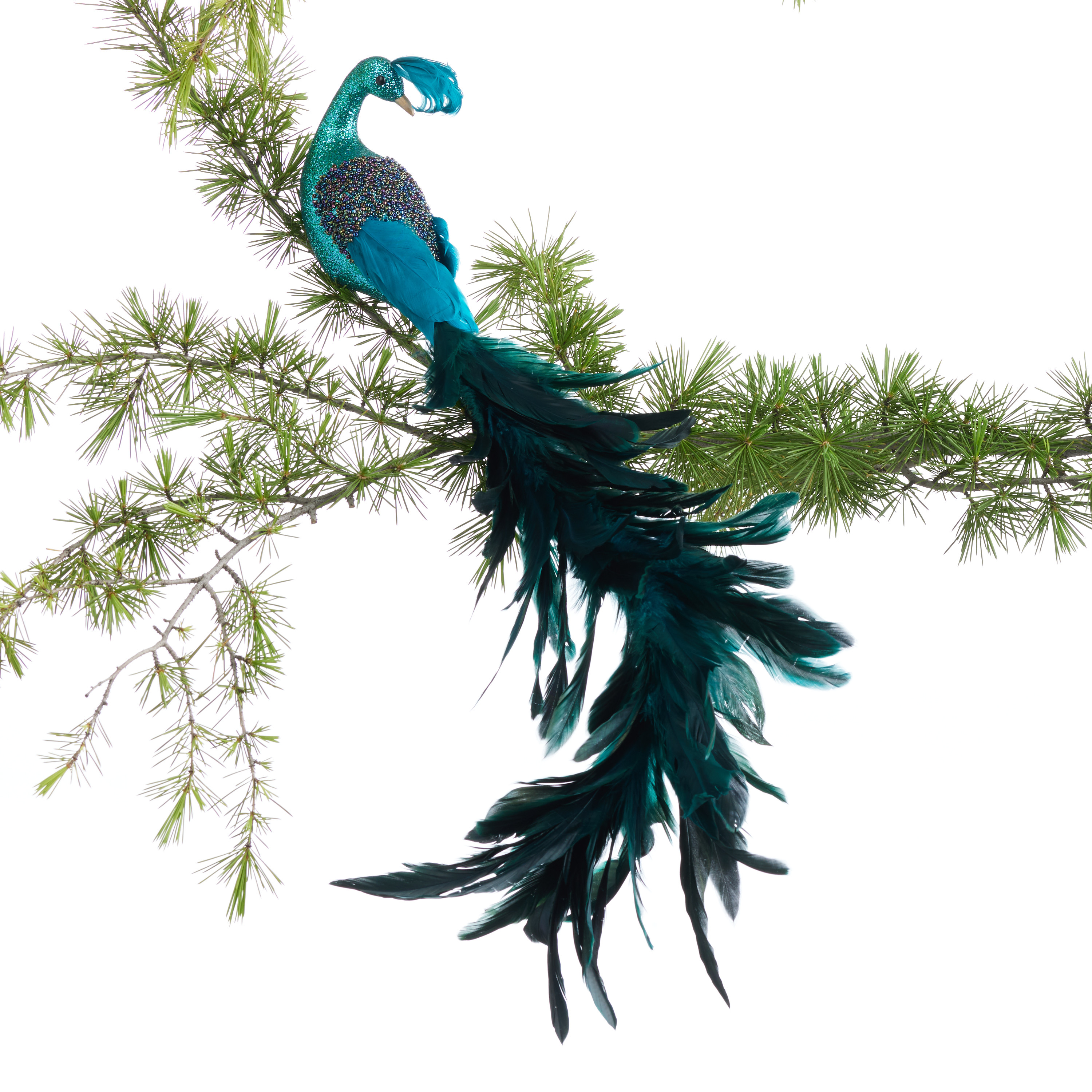 Bead And Feather Peacock Ornament | World Market
