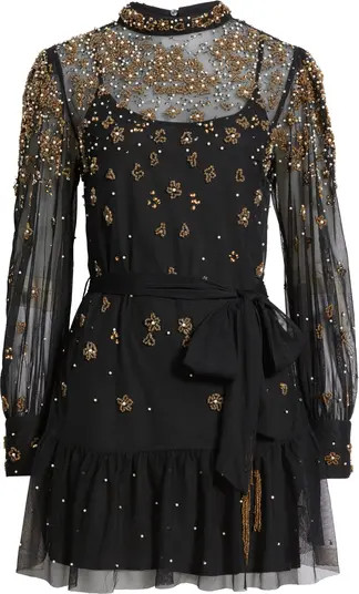 Embroidered Tulle Overlay Minidress | Nordstrom
