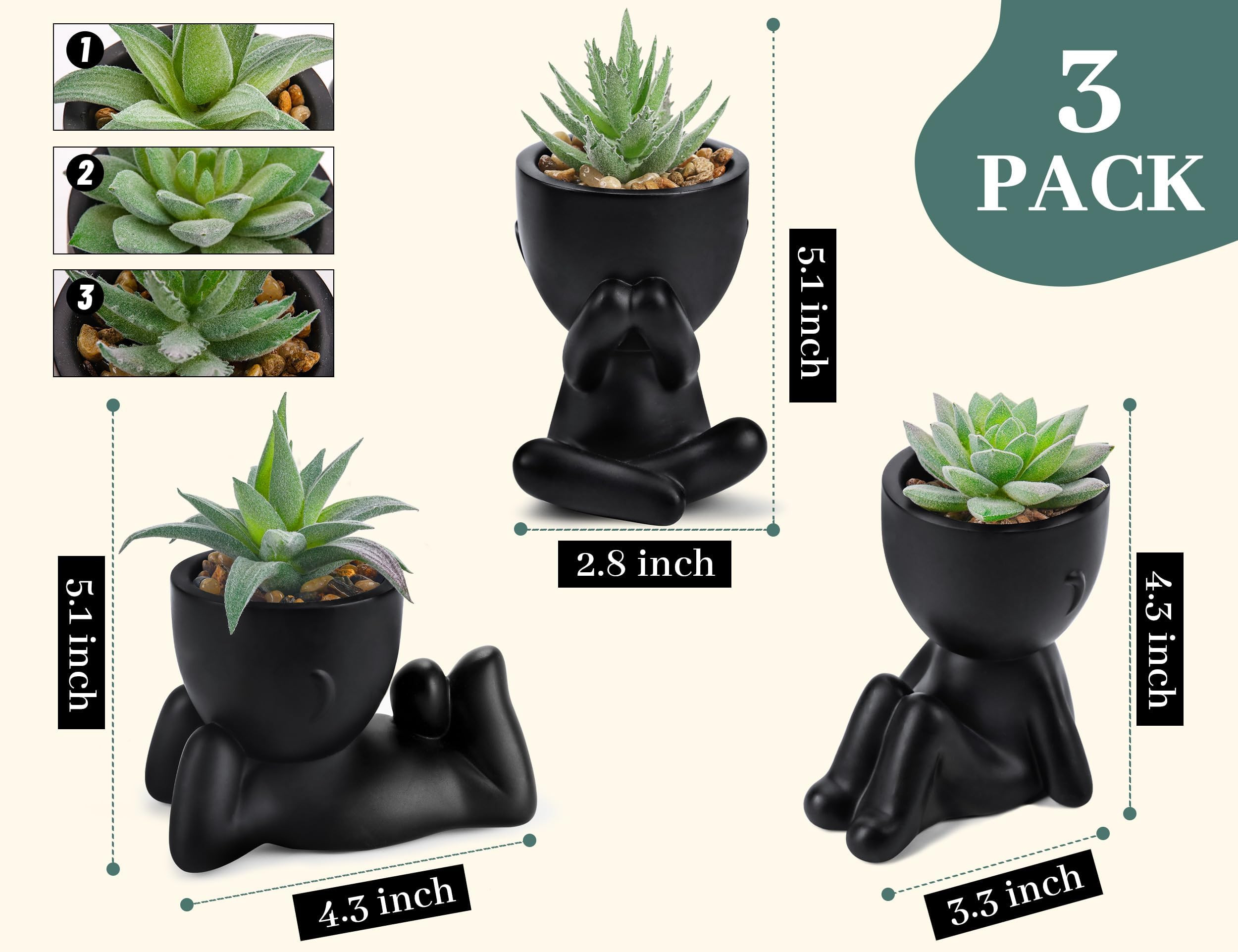 Der Rose 3pcs Fake Succulents Plants Artificial for Black Bathroom Bedroom Home Living Room Hallo... | Amazon (US)
