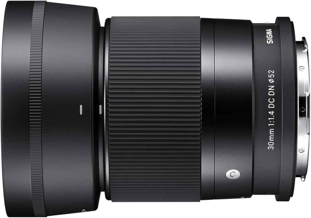Sigma 30mm F1.4 Contemporary DC DN Lens for Sony E Black | Amazon (US)