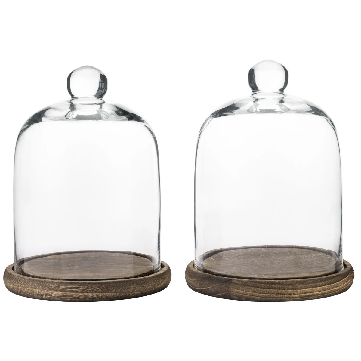 Khyanna Cloche Or Water Globe (Set of 2) | Wayfair North America