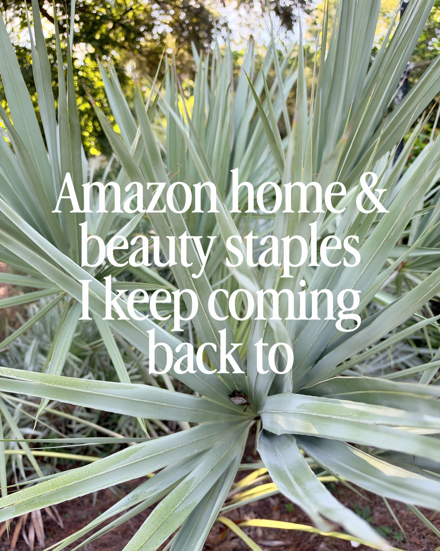 These are things I actually re-buy or share with friends constantly! From our favorite living room rug, lowtox beauty finds, spice organizer, comfy at home slipper and more all from Amazon!

#LTKHome #LTKOver40 #LTKselfcare