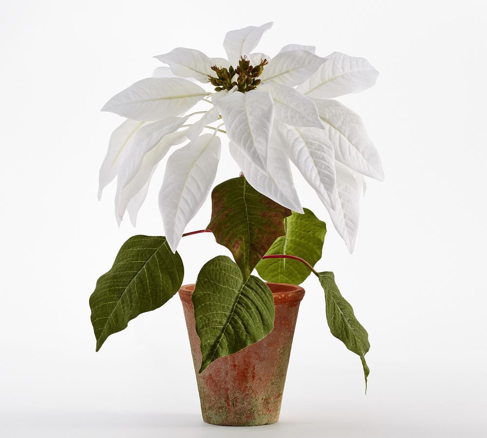 Faux Potted Poinsettias, Large, White | Pottery Barn (US)