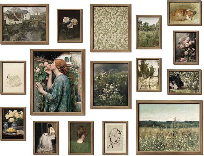 ANERZA 16 PCS Framed Vintage Wall Art Decor, French Country Wall Prints for Bedroom, Landscape Ga... | Amazon (US)