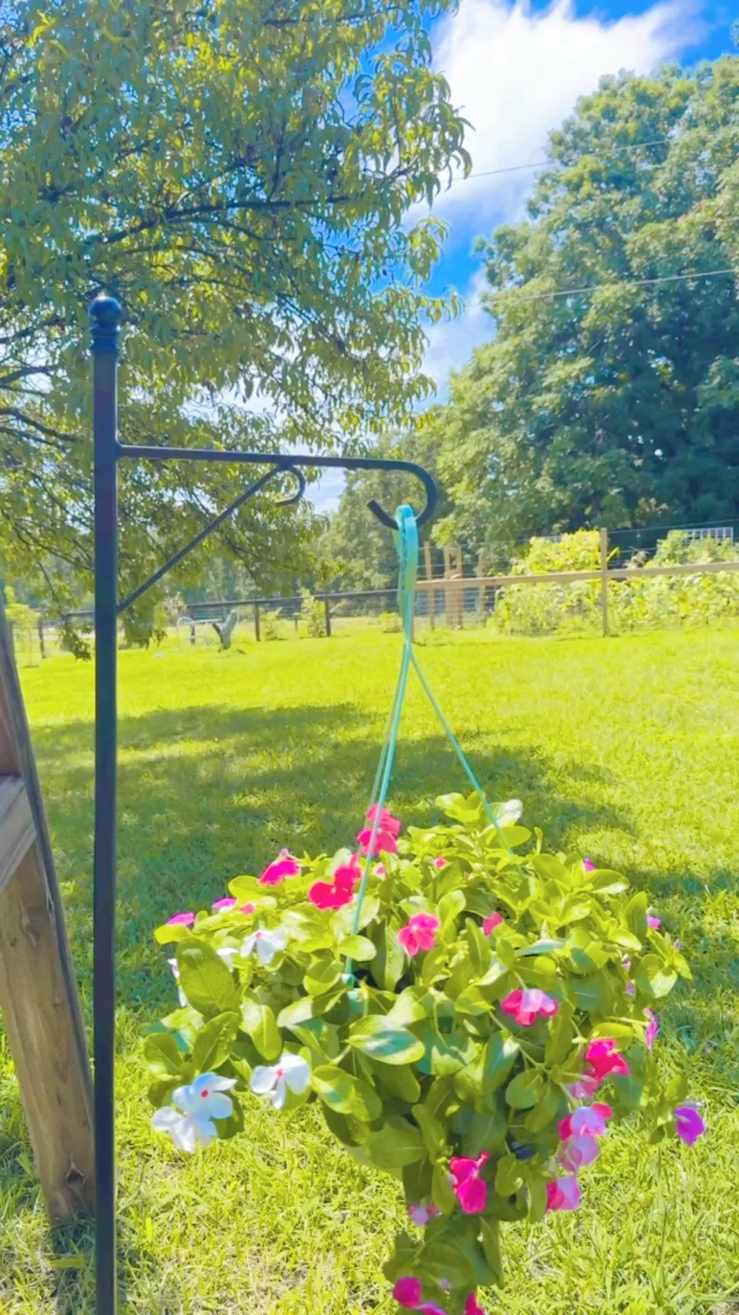 Both babies 👶🏼 napping 💤 and mama got to hang up our new flowers 🌼 by the backyard porch swing 🧺 - it’s been one happy lil’ Sunday indeed!!! ✨