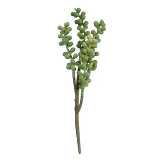 String of Pearls Sedum Succulent Pick by Ashland® | Michaels Stores